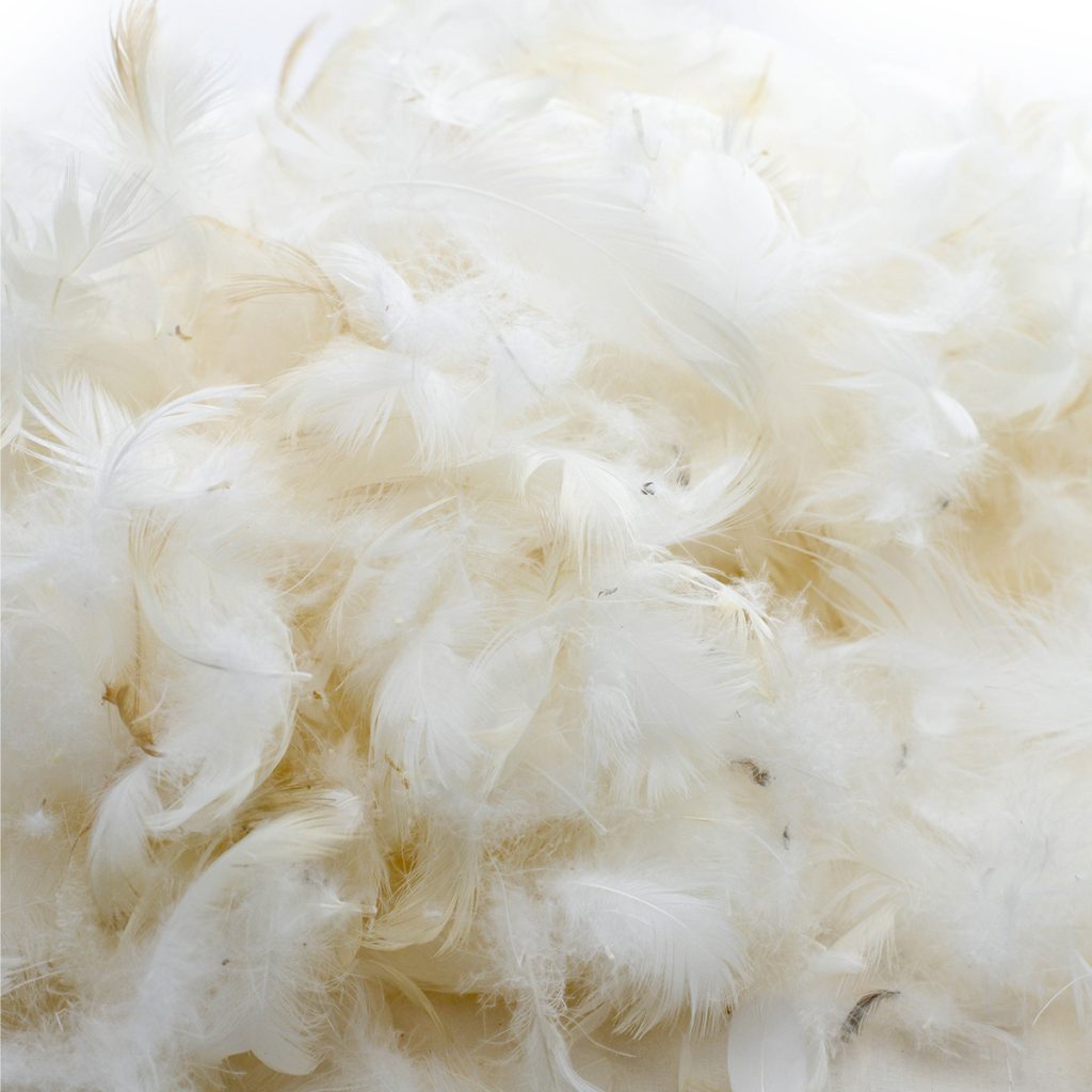 Replacement Duck Feather Sofa Cushions Cut To Size